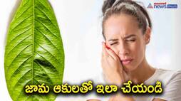 tooth ache home remedie with guava leaves-know how to use