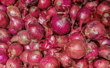 onam 2023 Onion prices likely to hit Rs 60 -70 per kg setback for the Malayaless btb 