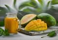 Exploring the World of Mangoes 8 varieties of the best summer fruit iwh