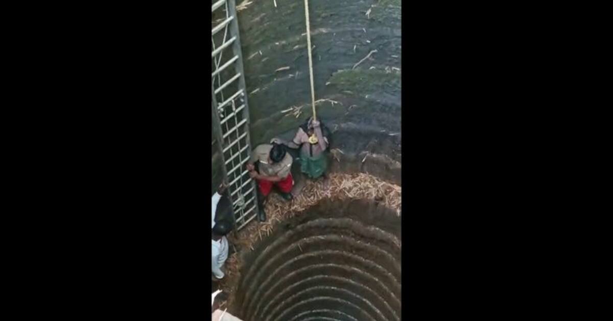 கிணற்றில் தவறி விழுந்து 3 நாட்களாக உயிருக்கு போராடிய முதியவர் மீட்பு