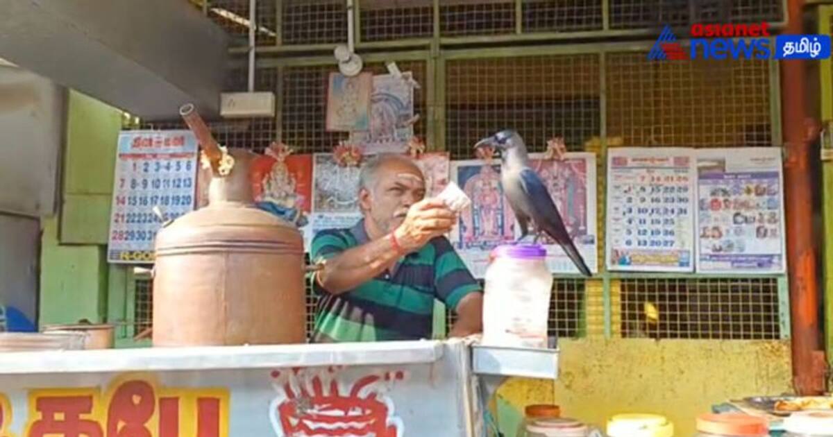 Viral Vidoe : டீக்கடைக்காரரிடம்  தினமும் பால் ஏடை வாங்கி சாப்பிடும் காகம்!