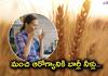 Benefits Of Barley Water