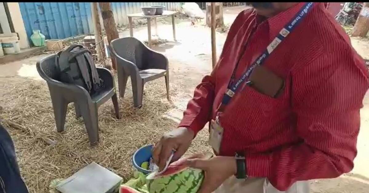 தென்காசியில் ஊசி மூலம் பழுக்க வைக்கப்பட்ட 100 கிலோ தர்புசணி பழங்கள் அழிப்பு