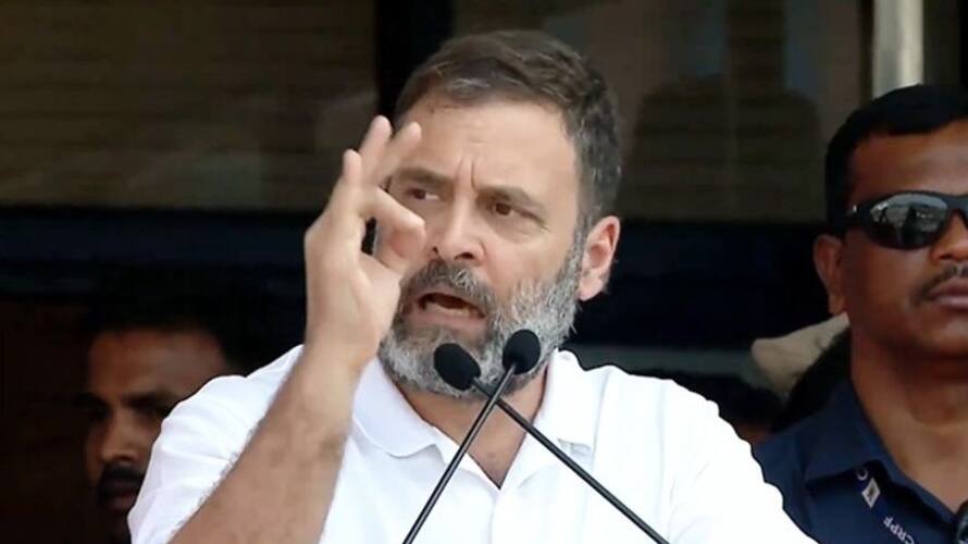 Delhi court grants NOC to Congress leader Rahul Gandhi to get new ordinary passport for 3 years AJR Delhi court grants NOC to Congress leader Rahul Gandhi to get new ordinary passport for 3 years AJR