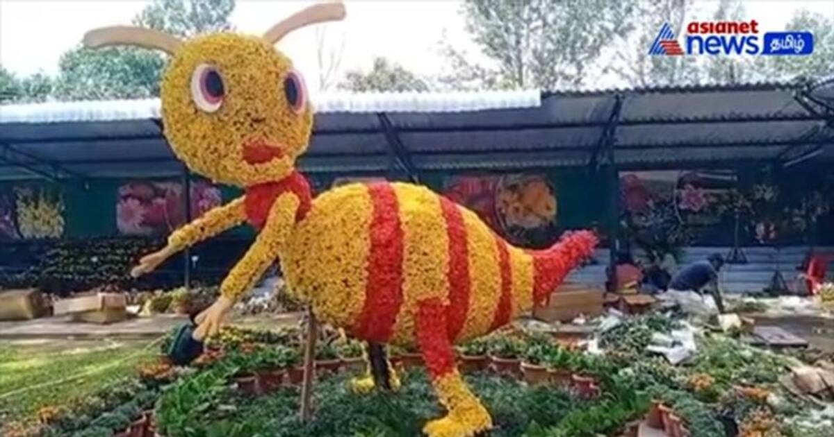 Flower show: ஏற்காட்டில் கோடை விழா! - ஏற்காடு போறவங்க இந்த வழிகளை ஃபாலோ செய்யுங்க.. ஈஸியா போகலாம்!