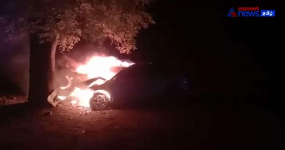 Watch : குறுக்கே சென்ற நாயால் மரத்தில் மோதிய கார்! தீப்பற்றி எரிந்ததால் பரபரப்பு!