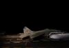 Indian Navy achieved maiden night landing of MiG-29K fighter aircraft on INS Vikrant