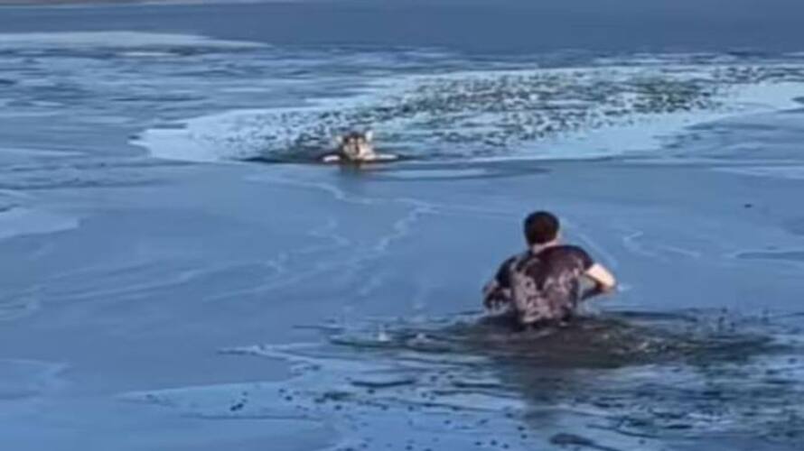 man jumped into frozen lake and rescue dog rlp man jumped into frozen lake and rescue dog rlp