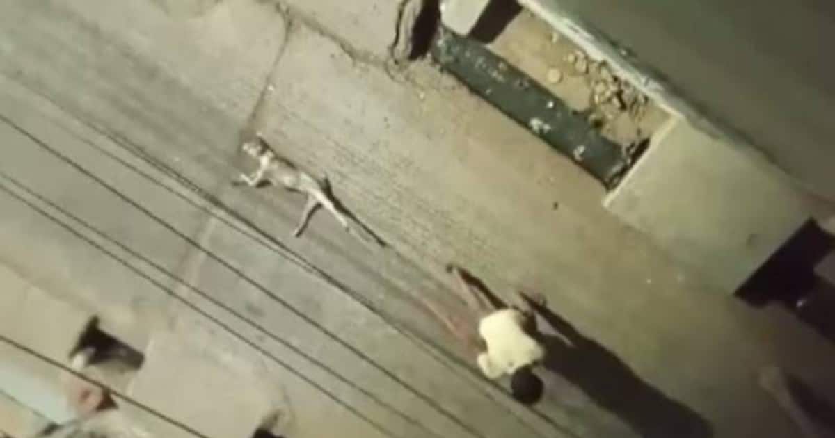 தெரு நாயை கயிற்றால் கட்டி, 100 மீட்டர் இழுத்துச் சென்ற நபர்! அதிர்ச்சி சம்பவம்