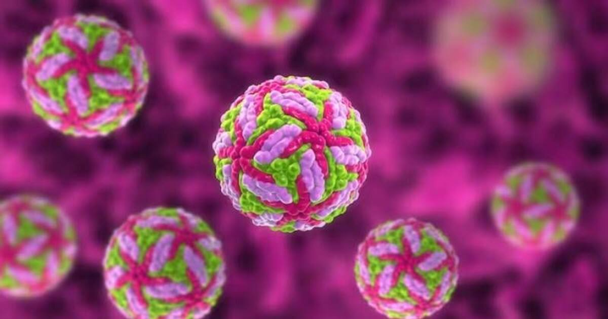 அடுத்த ஆபத்து? Powassan என்ற கொடிய வைரஸால் ஒருவர் பலி.. என்னென்ன அறிகுறிகள்? என்ன சிகிச்சை?