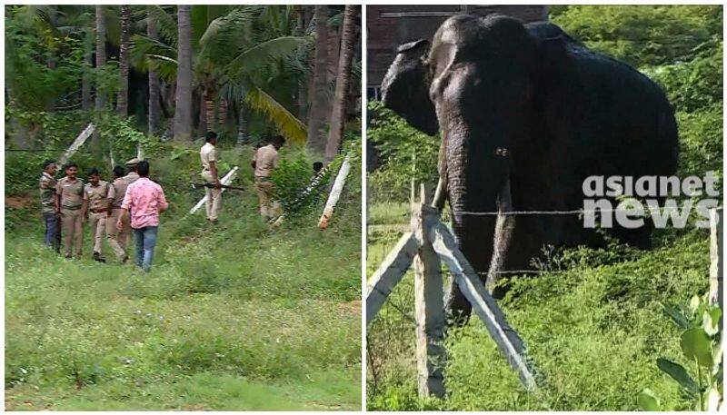 Forest department sensational information about Arikomban elephant