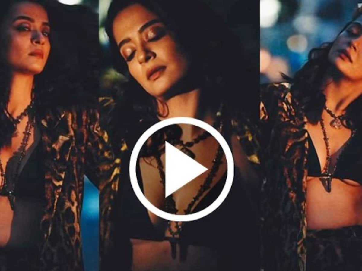Surveen Chawla SEXY and BOLD video: Actress dons black bra with leopard  print power suit