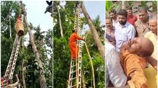 Man got stuck tree while cutting tree at Pathanamthitta, Kerala Fire Force Rescue Services asd