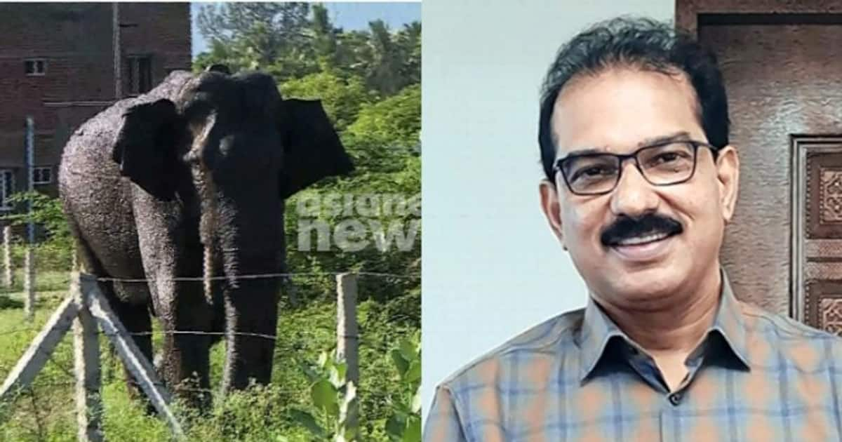 അരിക്കൊമ്പന് ചികിത്സ നൽകണം, കേരളത്തിന് കൈമാറണം: ഹൈക്കോടതിയെ സമീപിച്ച് ...