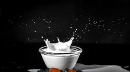 Happy World Milk Day 2023: Wishes, messages, greetings, and quotes to share on this day ADC