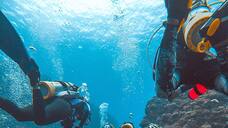 Goa to Pondicherry-5 best scuba diving sites in India RBA