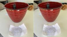 delivery boy broke the customer's flower pot and is winning Internet - bsb