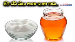 honey vs sugar-why you should replace sugar with honey-know the details