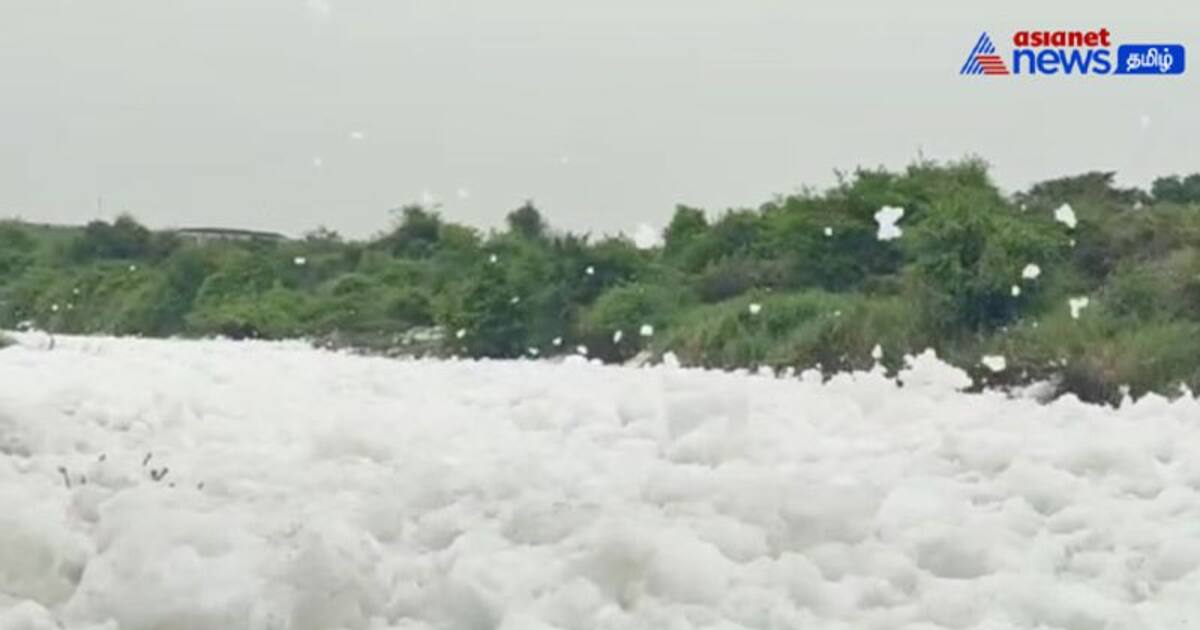 Vira Video : தென்பெண்ணை ஆற்றில் கலக்கும் ஆலைக் கழிவுகள்- ஆற்றில் பனிக்கட்டி போல் மிதக்கும் ரசாயன நுரை!