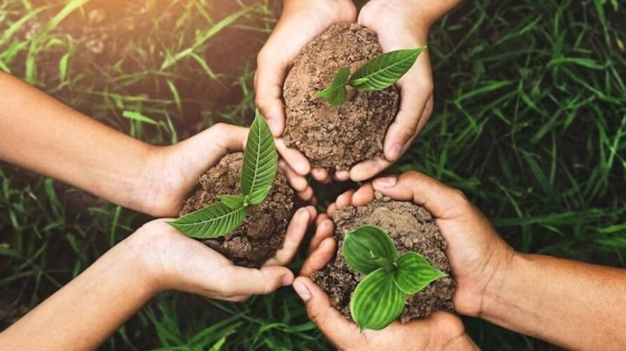 World Environment Day 2023 theme and  Significance