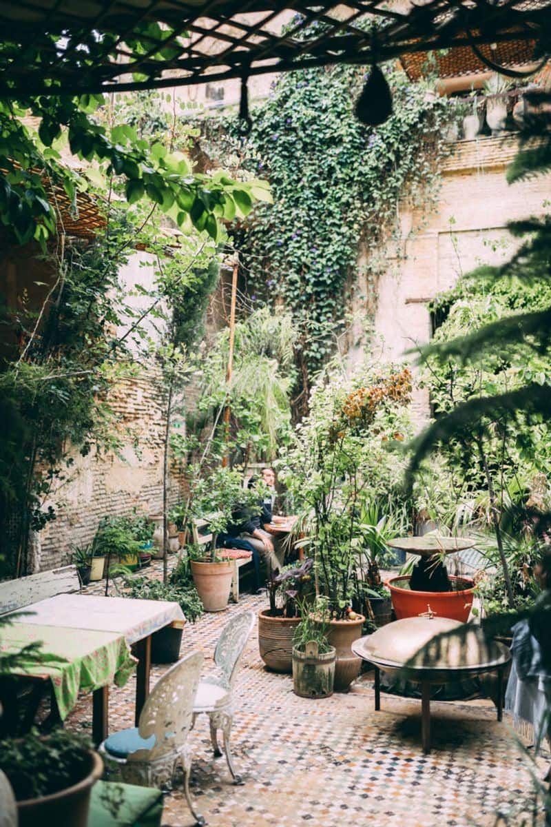 Interior Designs Decoded: Unwind in A captivating Courtyard