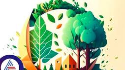 World Environment Day 2023, Theme, history and everything else you need to know Vin