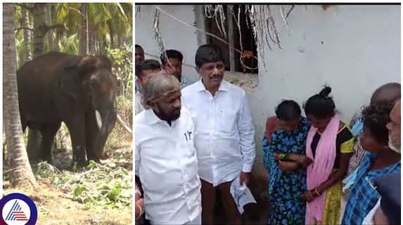 Two farmers killed an elephant attack adjacent to Bengaluru Minister Eshwar Khandre condolences sat Two farmers killed an elephant attack adjacent to Bengaluru Minister Eshwar Khandre condolences sat