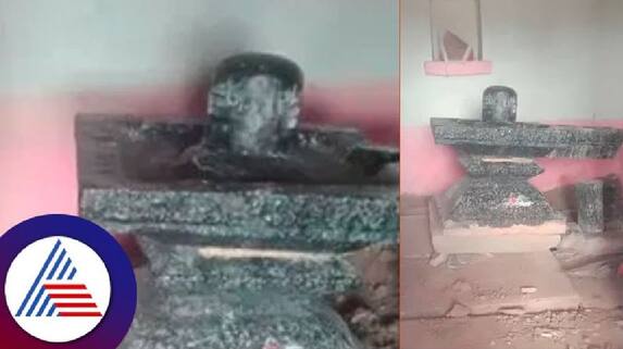 Miscreants dug up Shivlinga for treasure in chittapur at kalaburgi rav Miscreants dug up Shivlinga for treasure in chittapur at kalaburgi rav