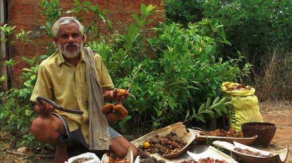 Uttara Kannada Ganapati Vaddinagadde, which quietly contributed to the environmental revolution in the corner of the Malenadu akb Uttara Kannada Ganapati Vaddinagadde, which quietly contributed to the environmental revolution in the corner of the Malenadu akb
