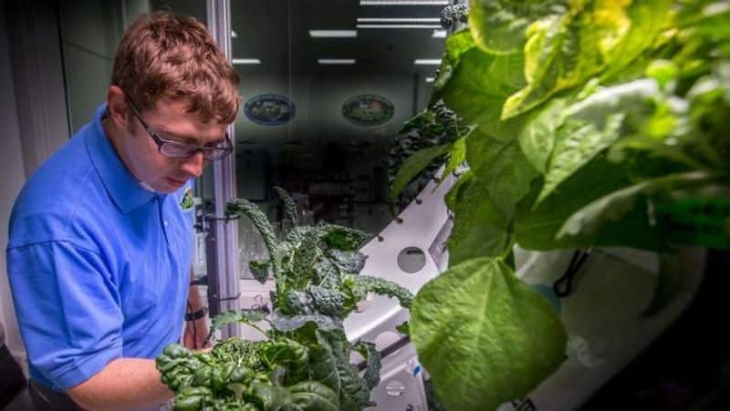 Do you know Fresh food, plant seeds, DNA experiment at SpaceX Space Station