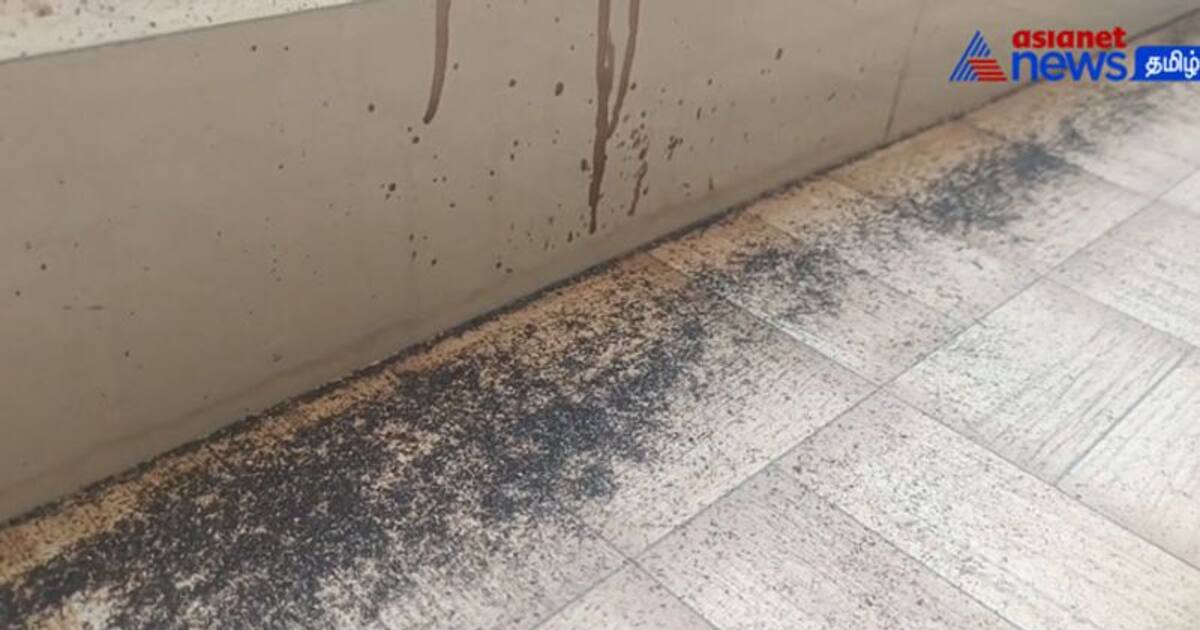 Watch : அரிசி ஆலையிலிருந்து வெளிவரும் கரும்புகை! மூச்சுத் திணறலில் தவிக்கும் குழந்தைகள்! - பொதுமக்கள் புலம்பல்