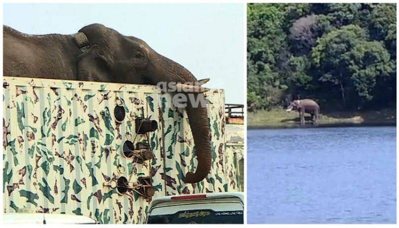 The Forest Secretary said that Arikomban elephant is in good condition