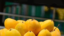 Can a diabetic person eat mango? rsl