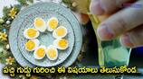 health concerns of eating raw eggs-know the details