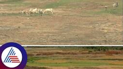 Lack of rain Krishna, Malaprabha & Ghataprabha rivers are empty at bagalkote rav