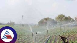 Lack of rain Naragunda farmers using sprinkler at gadag rav