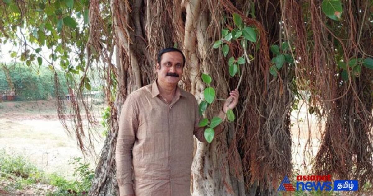 VIDEO : அன்று சிறு செடியாக நட்டு வைத்தேன்! இன்று பெரு மரமாய்...! கட்டித் தழுவி மகிழ்ந்த அன்புமணி!