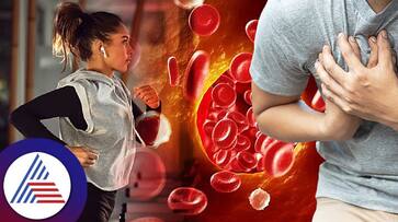 If the level of bad cholesterol increases, These serious diseases can occur in the body.. Experts warn If the level of bad cholesterol increases, These serious diseases can occur in the body.. Experts warn