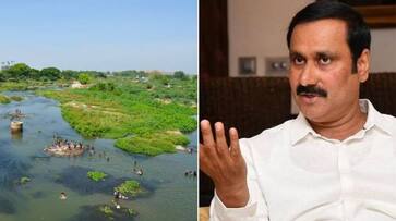 Anbumani requested immediate action to save crops submerged in rain water KAK Anbumani requested immediate action to save crops submerged in rain water KAK