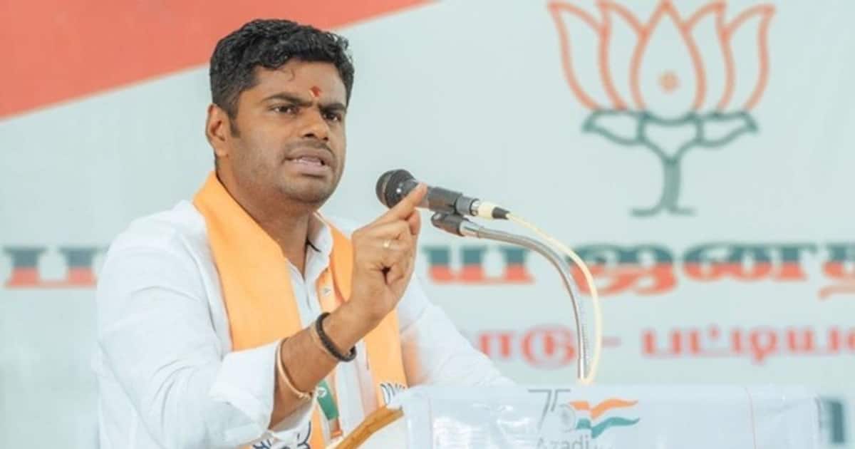 தமிழர் பிரதமர்: அமித் ஷா கருத்தை மறுத்த அண்ணாமலை!