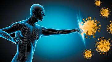 tips to boost your immunity tips to boost your immunity