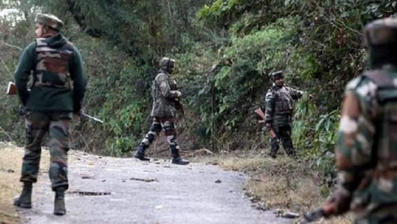 Jammu and Kashmir: 5 terrorists killed in Kupwara district