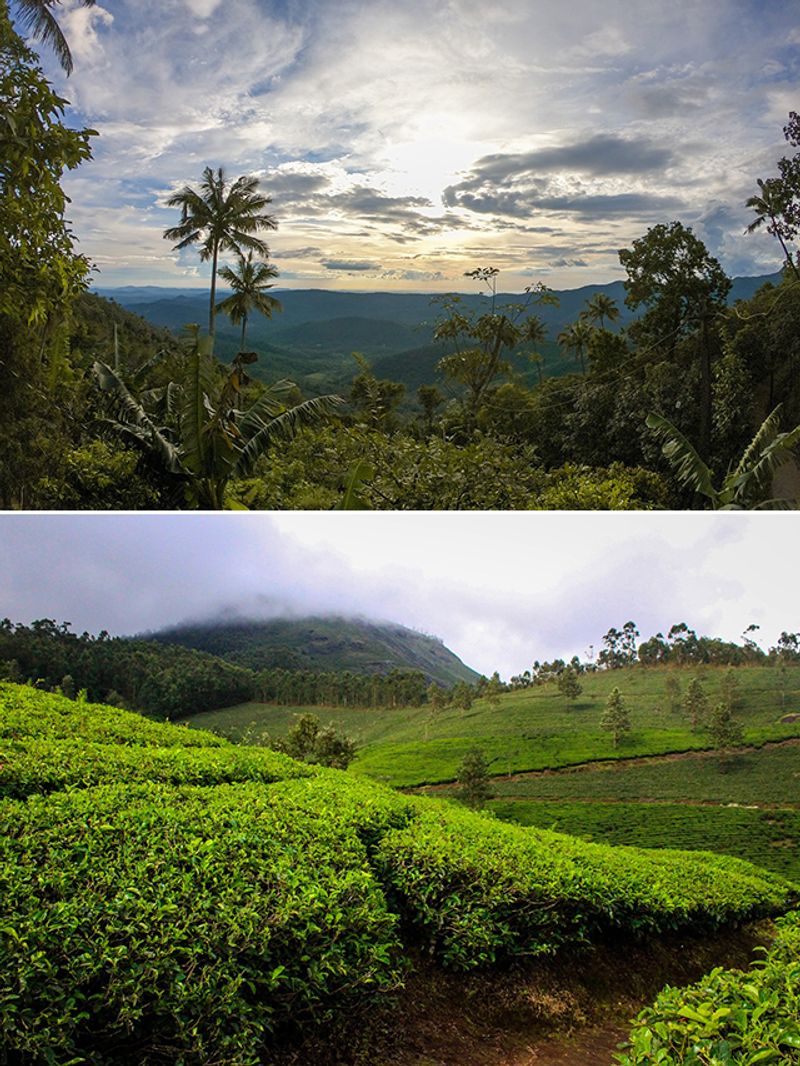 Ooti Rusk Ooty to Coorg-7 best hill stations in South India