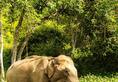 A Guide to India's Wildlife Sanctuaries: Get Up Close with Nature
