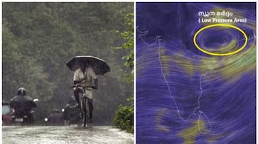 Kerala Rain: Heavy rains likely to lash today; yellow alert in 3 districts rkn Kerala Rain: Heavy rains likely to lash today; yellow alert in 3 districts rkn