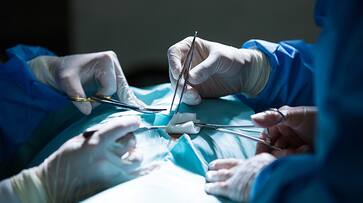 US Surgeons Successfully Transplant Pig Kidney In Human SSM US Surgeons Successfully Transplant Pig Kidney In Human SSM