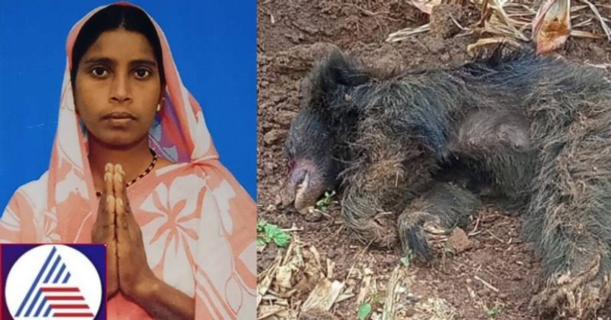 Karnataka Woman saves husband and brother from bear attack