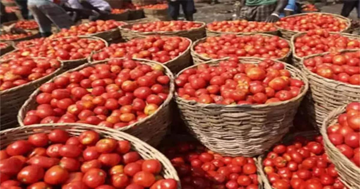 200 ரூபாயை தொட்ட தக்காளியை, குறைந்த விலையில் விற்க திட்டம்.! தமிழக அரசு அவசர ஆலோசனை