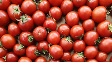 1 kg of tomato is only Rs.60.. Ration shops have started selling tomatoes.. 1 kg of tomato is only Rs.60.. Ration shops have started selling tomatoes..