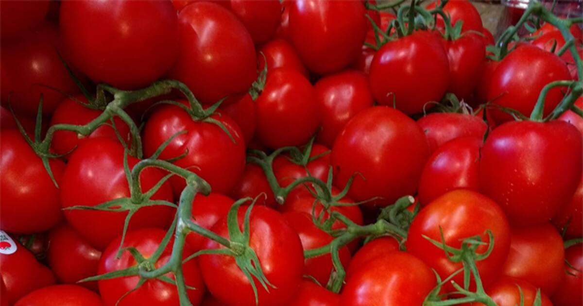 As prices skyrocket, thieves steal tomatoes worth lakhs from Karnataka